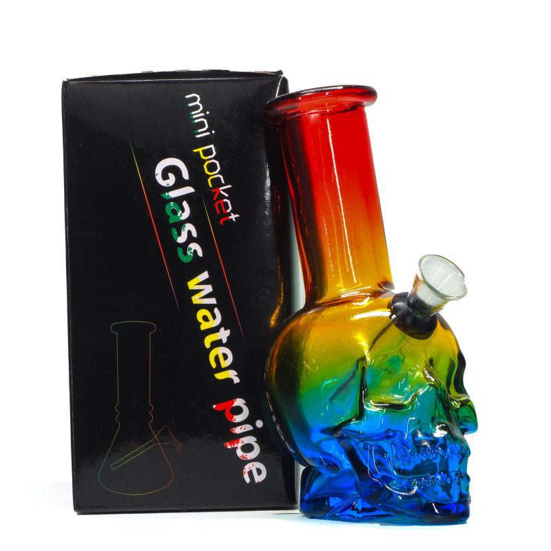 Multicolor Skull Bong Case